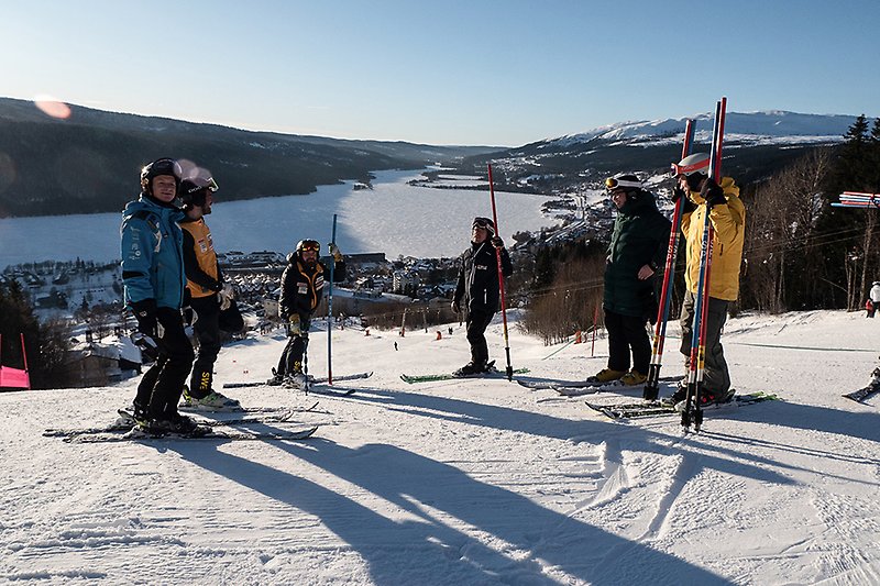 En bild